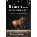 The Storm and the Connemara Pony - Dyslexia Friendly