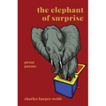 The Elephant of Surprise