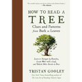 How to Read a Tree: Clues and Patterns from Bark to Leaves