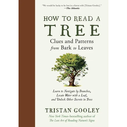 How to Read a Tree: Clues and Patterns from Bark to Leaves