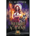 Hybrid Academy: Year One