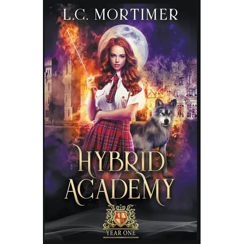 Hybrid Academy: Year One