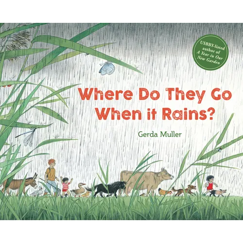 Where Do They Go When It Rains?