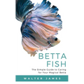 Betta Fish: The Simple Guide to Caring for Your Magical Betta