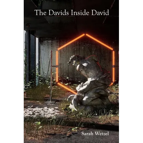 The Davids Inside David