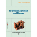 La formacion profesional en el Mercosur