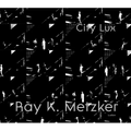 Ray K. Metzker: City Lux