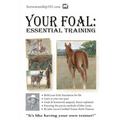 Your Foal: Essential Training
