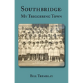 Southbridge: My Triggering Town