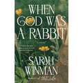 When God Was a Rabbit