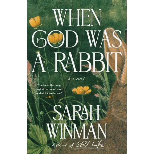When God Was a Rabbit