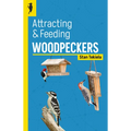 Attracting & Feeding Woodpeckers