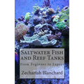 Saltwater Fish and Reef Tanks: From Beginner to Expert