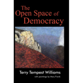 The Open Space of Democracy