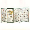 Sibley's Backyard Birds of Eastern Texas