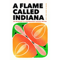 A Flame Called Indiana: An Anthology of Contemporary Hoosier Writing