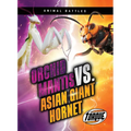 Orchid Mantis vs. Asian Giant Hornet
