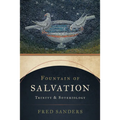 Fountain of Salvation: Trinity and Soteriology