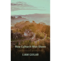 How Culhwch Won Olwen: A verse translation of the oldest Arthurian story