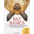 Bat Basics: How to Understand and Help These Amazing Flying Mammals