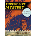 The Forest Fire Mystery