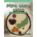 Mira Cómo Crece: Escribir, Simplificar Y Evaluar Expresiones