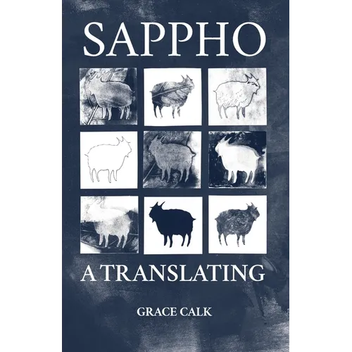 Sappho: A Translating