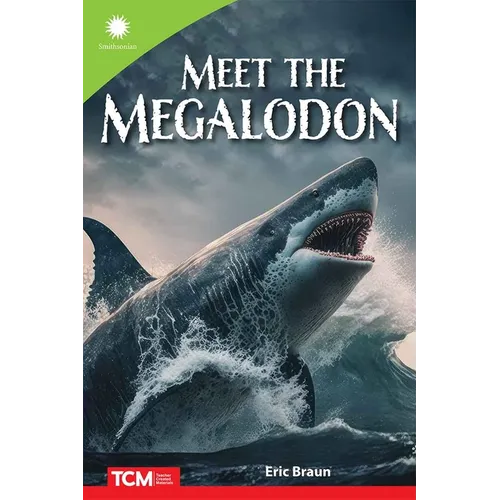 Meet the Megalodon