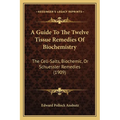A Guide To The Twelve Tissue Remedies Of Biochemistry: The Cell-Salts, Biochemic, Or Schuessler Remedies (1909)