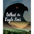 What the Eagle Sees: Indigenous Stories of Rebellion and Renewal