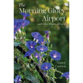 The Morning Glory Airport and Other Flights of Fancy