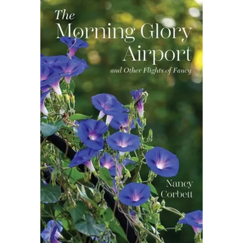 The Morning Glory Airport and Other Flights of Fancy