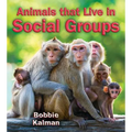 Animals That Live in Social Groups