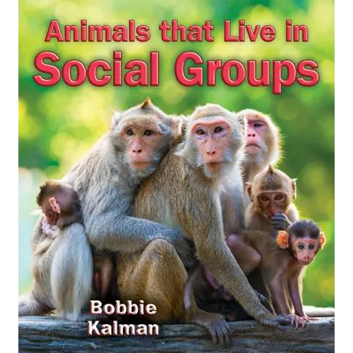 Animals That Live in Social Groups