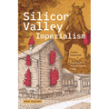 Silicon Valley Imperialism: Techno Fantasies and Frictions in Postsocialist Times