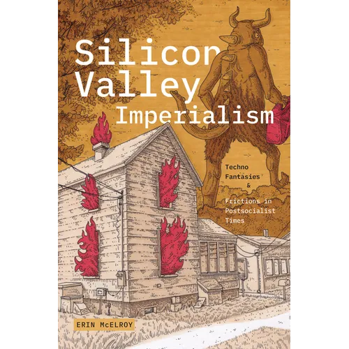 Silicon Valley Imperialism: Techno Fantasies and Frictions in Postsocialist Times