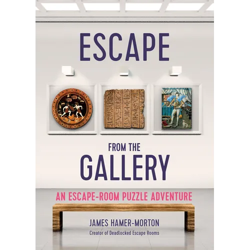 Escape from the Gallery: An Entertaining Art-Based Escape Room Puzzle Experience