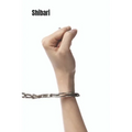 Shibari: Japanese Bondage Techniques: Learn the Most Popular Japanese Art of Seduction