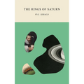 The Rings of Saturn