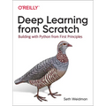 Deep Learning from Scratch: Building with Python from First Principles