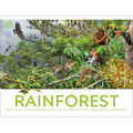 Rainforest