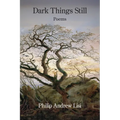 Dark Things Still