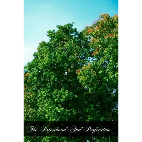 The Priesthood And Perfection