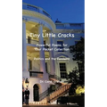 Tiny Little Cracks: Powerful Poems for Your Pocket Collection: Politics and the Pandemic