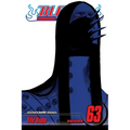 Bleach, Vol. 63: Hear, Fear, Here