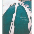 Anxious Bricolage