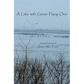 A Lake with Geese Flying Over: selected poems of David Allan Evans