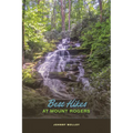 Best Hikes at Mount Rogers