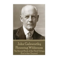 John Galsworthy - Flowering Wilderness: The Second Book of the Third Trilogy (End of the Chapter)