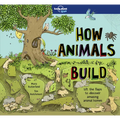 Lonely Planet Kids How Animals Build: Lift the Flaps & Discover Amazing Creature Homes Explore Bird Nests, Ant Colonies, Spider Webs Beautiful Illustr